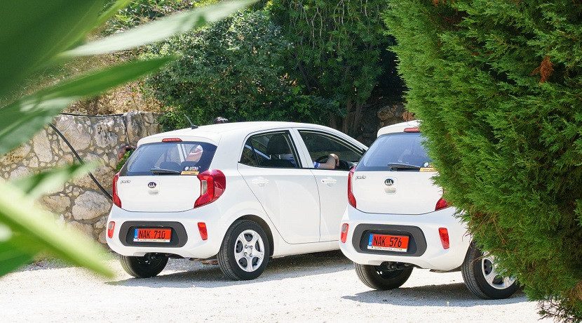 Parking under a tree can stain your resin car, so it cleans up.