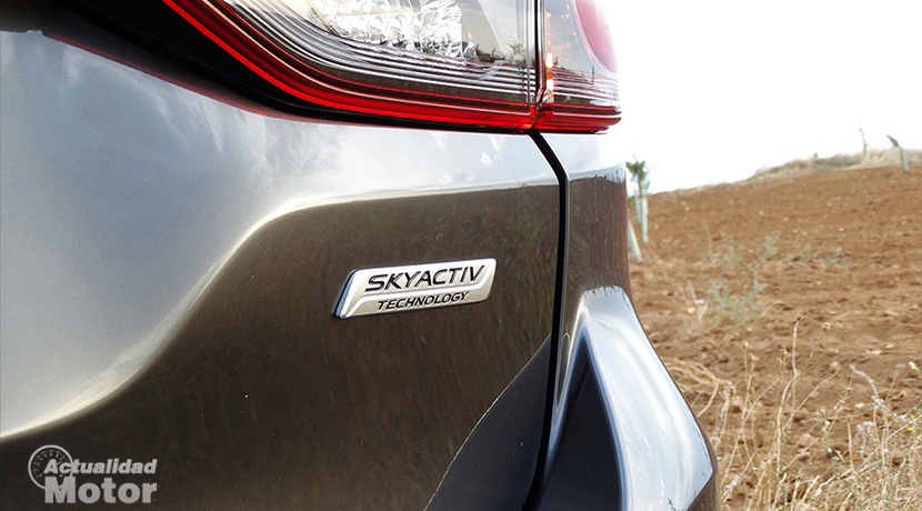 Test Mazda 6Wagon exterior detail